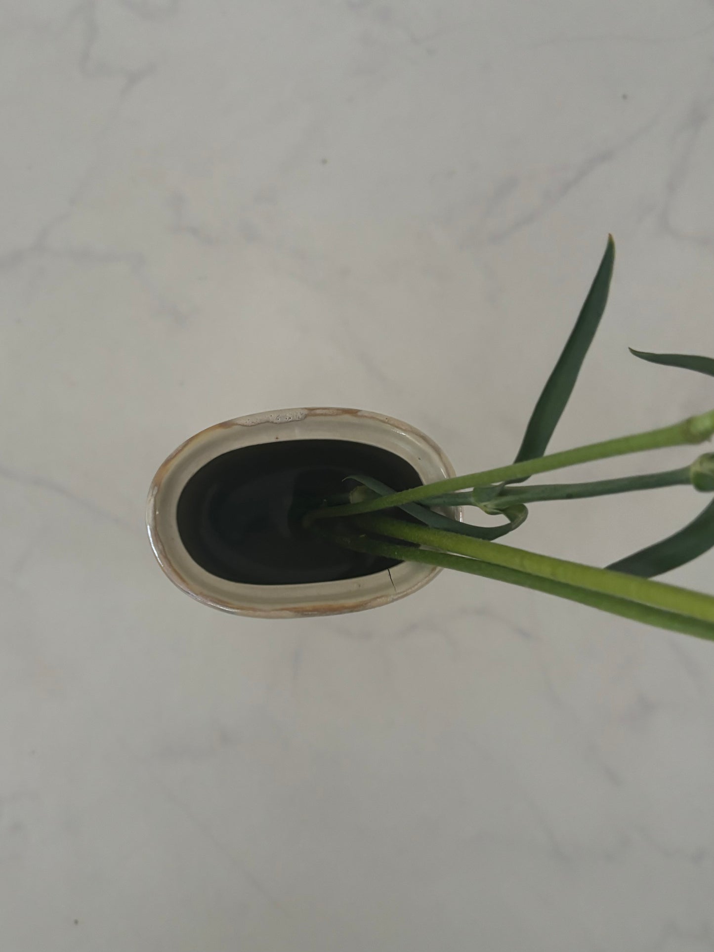 Saï Flower Vase #1